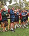 Lions tell hosts to release stars27