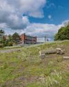 Hundreds of trees may go for work to protect city from flooding risk12