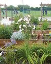 Pupils create their own 'happy place' with sanctuary at school3