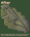 Work to improve river will have Atlantic salmon leaping for joy4