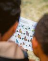 Get out to record butterfly numbers as experts launch 'rescue mission' for species11