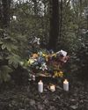 Dad who fled from police in uninsured car was later found dead in woodland7