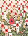Field of Remembrance adorned by thousands of messages for fallen Field of Remembrance adorned by thousands of messages for fallen24