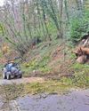 Removal of trees posing 'unacceptable' risk could close major road all week1