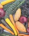Boom in demand for brightly-coloured veg as people ‘eat the rainbow’11