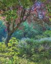 Photography exhibition to celebrate 'patch of paradise' Photography exhibition to celebrate 'patch of paradise'20