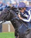 Gstaad and Precise to give O'Brien a Guineas double Gstaad and Precise to give O'Brien a Guineas double29