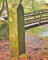 County is ‘beginner friendly’ when it comes to walking County is ‘beginner friendly’ when it comes to walking20