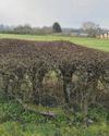 New houses planned for village just weeks after 150-home site mooted New houses planned for village just weeks after 150-home site mooted18