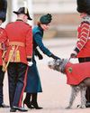 Princess of Wales salutes the Irish Guards Princess of Wales salutes the Irish Guards