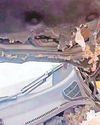 Rats chew wires and leave motorist with £350 repair bill10
