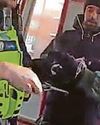 Jail for man tracked on CCTV brandishing knife14