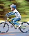Our family bike ride turns into a race against nature17