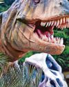 Roar-some dinos on tour Roar-some dinos on tour