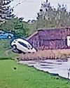'Nice walk this morning - a pair of camera-shy buzzards - then you come across THIS!' 'Nice walk this morning - a pair of camera-shy buzzards - then you come across THIS!'