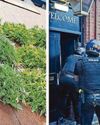 Pub cannabis farm would be 'blindingly obvious' court told Pub cannabis farm would be 'blindingly obvious' court told
