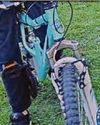 Appeal after teen cyclist robbed by gang at arboretum Appeal after teen cyclist robbed by gang at arboretum