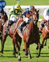 Expanded to win 2,000 Guineas at Newmarket Expanded to win 2,000 Guineas at Newmarket