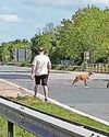 M-way closures get your GOAT on Bank Holiday! M-way closures get your GOAT on Bank Holiday!