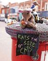 RAT'S THE WAY TO MAKE BRUM SMILE RAT'S THE WAY TO MAKE BRUM SMILE