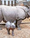 I may be little but I'm pretty thick-skinned3