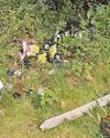 'Heartbreak' as loved ones' graves smashed7