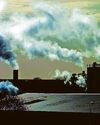 City is still committed to net zero - Cotton15