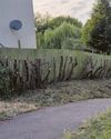 Drastic council action to chop hedge sparks anger1