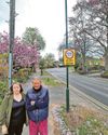 Road a 'special' safety case after kids injured14
