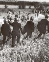 Inquiry into violence during miners' strike at Orgreave17
