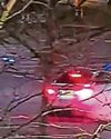 Yob caught on camera clinging to car bonnet6