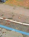 Council may have lost huge sums over dropped kerbs16