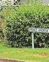 'Prince Andrew Drive' locals want new name8
