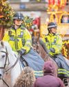 Back in the saddle - return of police horses Back in the saddle - return of police horses0