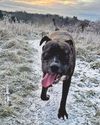 Nellie warming to her new life after being abandoned in the snow Nellie warming to her new life after being abandoned in the snow1