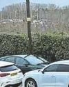Grave situation! Plan to solve car parking chaos at the cemetery4
