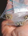 2 quizzed as drugs sold at shops on the high street17