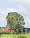 School hit by damning Ofsted report verdict16