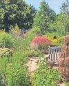 Blooming marvellous way to raise much-needed charity funds Blooming marvellous way to raise much-needed charity funds6