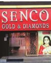 Senco Gold raises ₹459 cr via QIP, allots 40.8L shares