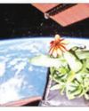 ISRO to study how crops grow in space on PSLV-C60 mission