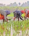 Close to ₹1-lakh-crore investments aided by agri-infrastructure fund10