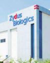 Zydus to drive global medtech strategy47