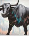 Bulls return to D-Street1