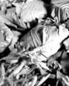 पुंछ में विस्फोटक बरामद, आतंकी साजिश नाकाम पुंछ में विस्फोटक बरामद, आतंकी साजिश नाकाम