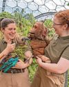 Visitors will be enchanted by wonders of the natural world9