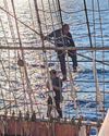 For once, a luxurious life on the ocean wave was for me35