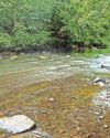 Year-long project will test water quality in river and tributaries16