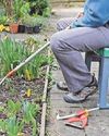 Expert advice Gardening with arthritis68