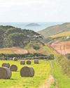 Oil prices highlight penalty of rural life27